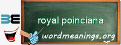 WordMeaning blackboard for royal poinciana